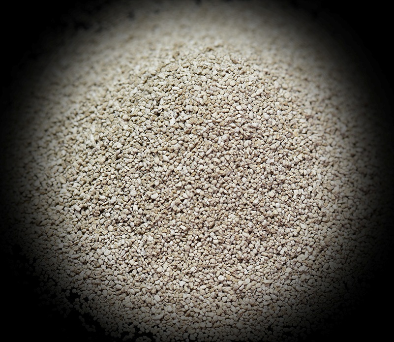 �˷�pt��Ϸ��(�й���)�ٷ���վ