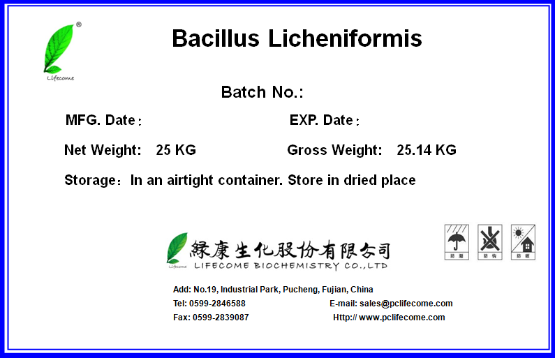 �˷�pt��Ϸ��(�й���)�ٷ���վ